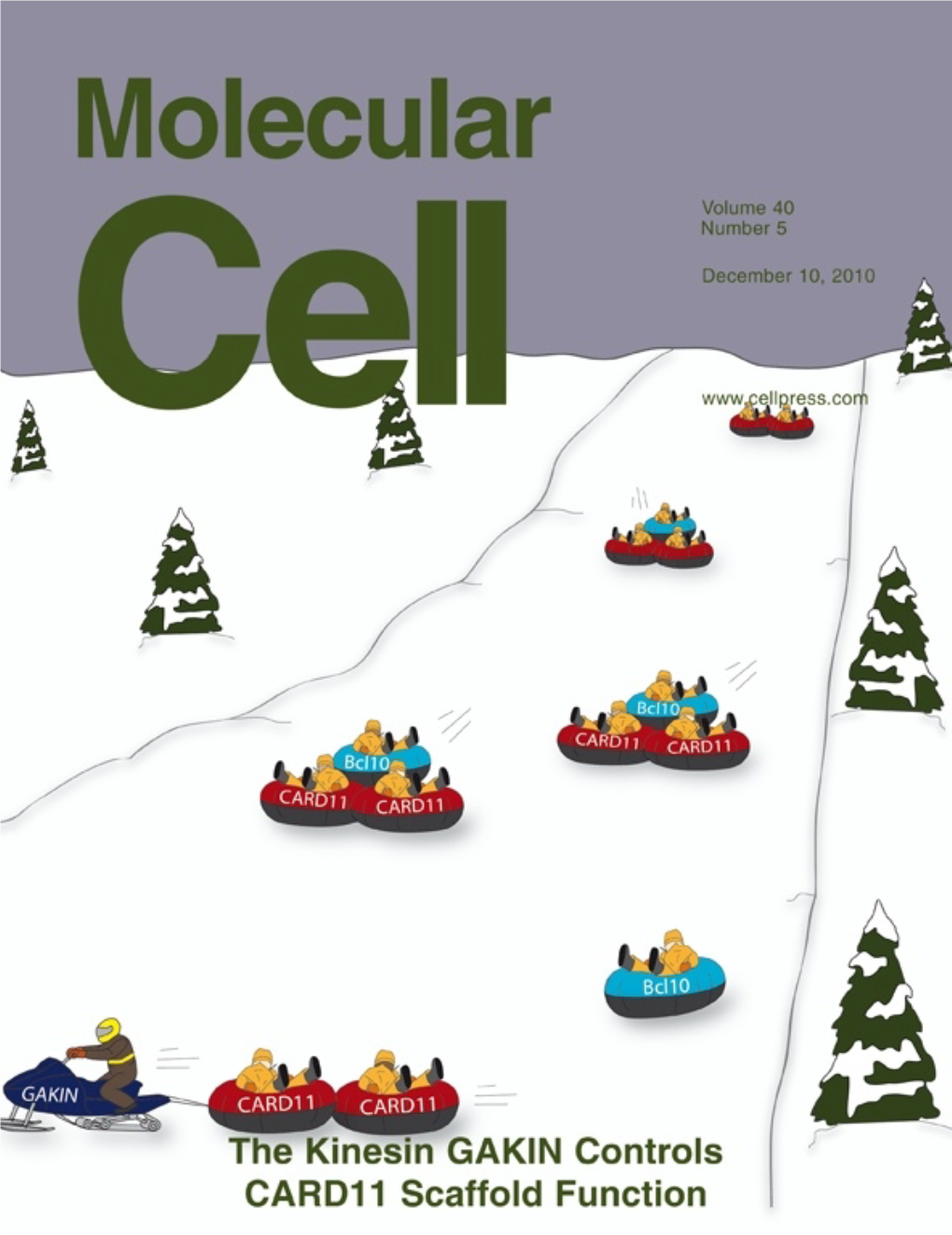 Histone Demethylation and Timely DNA Replication