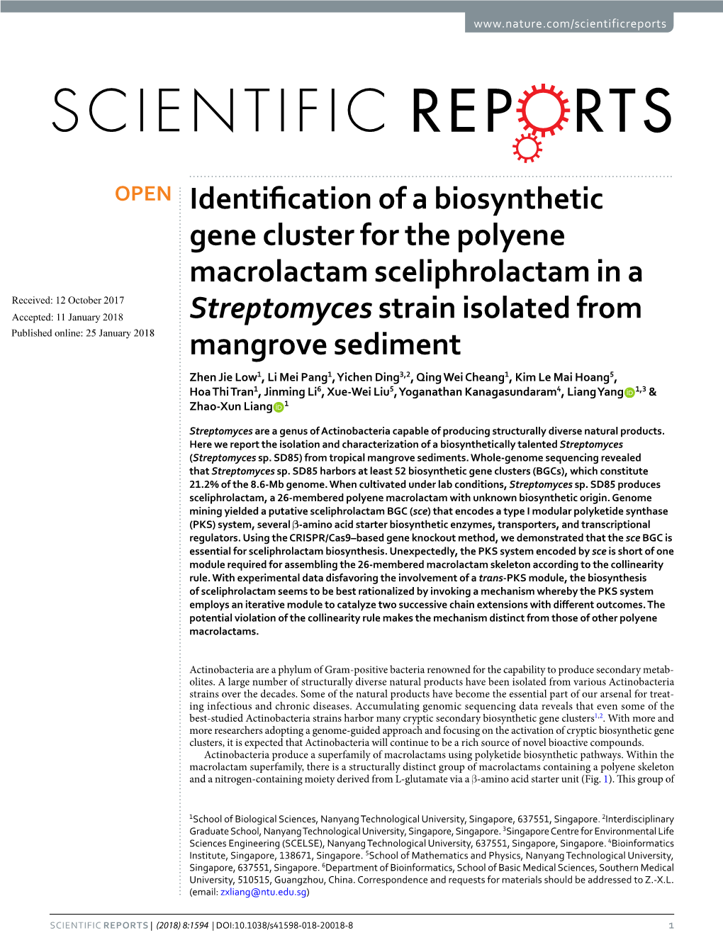 Identification of a Biosynthetic Gene Cluster for the Polyene Macrolactam