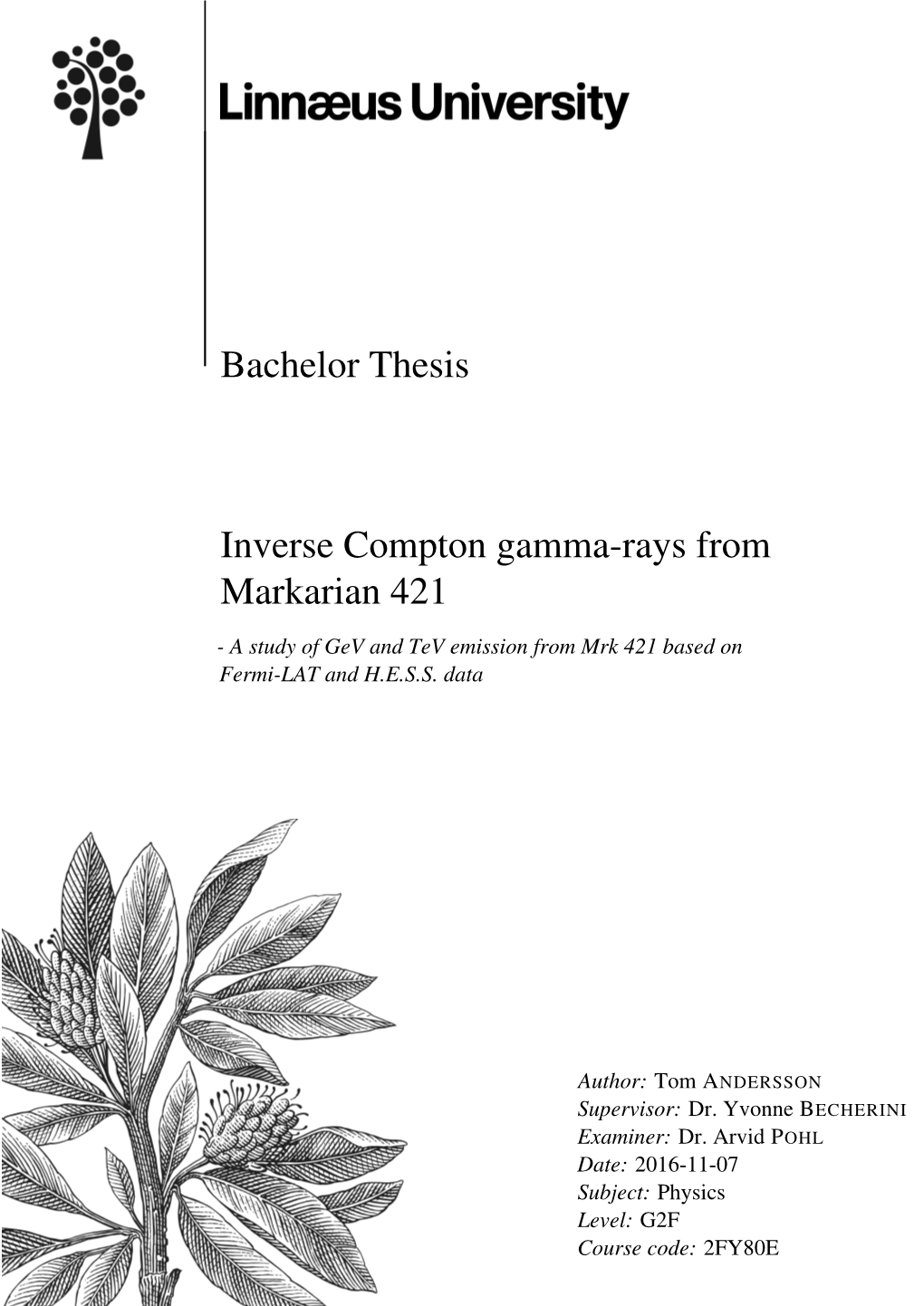 Bachelor Thesis Inverse Compton Gamma-Rays from Markarian