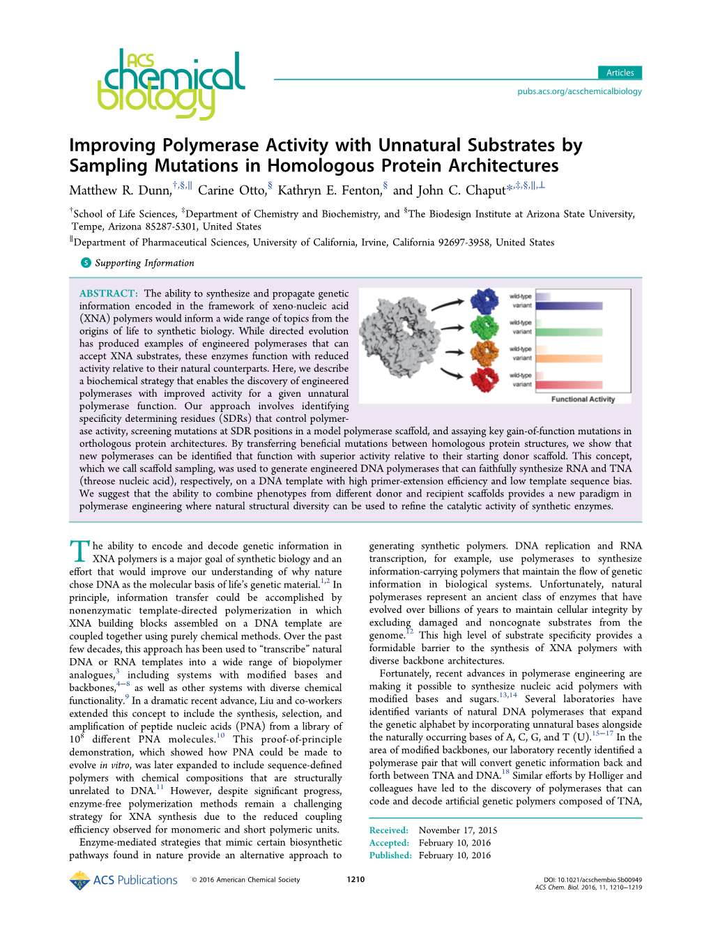 Improving Polymerase Activity with Unnatural Substrates by Sampling Mutations in Homologous Protein Architectures Matthew R