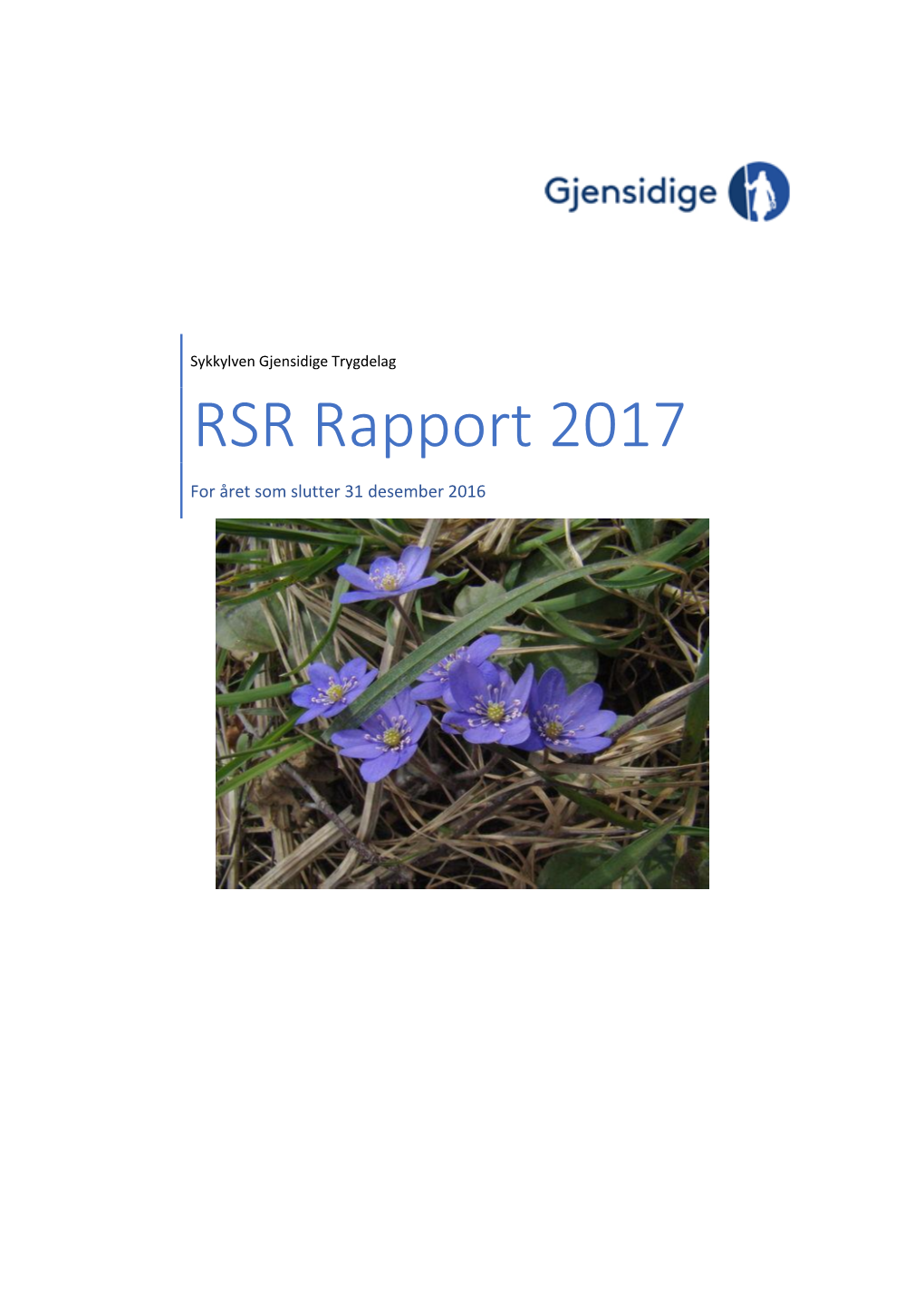 RSR Rapport 2017