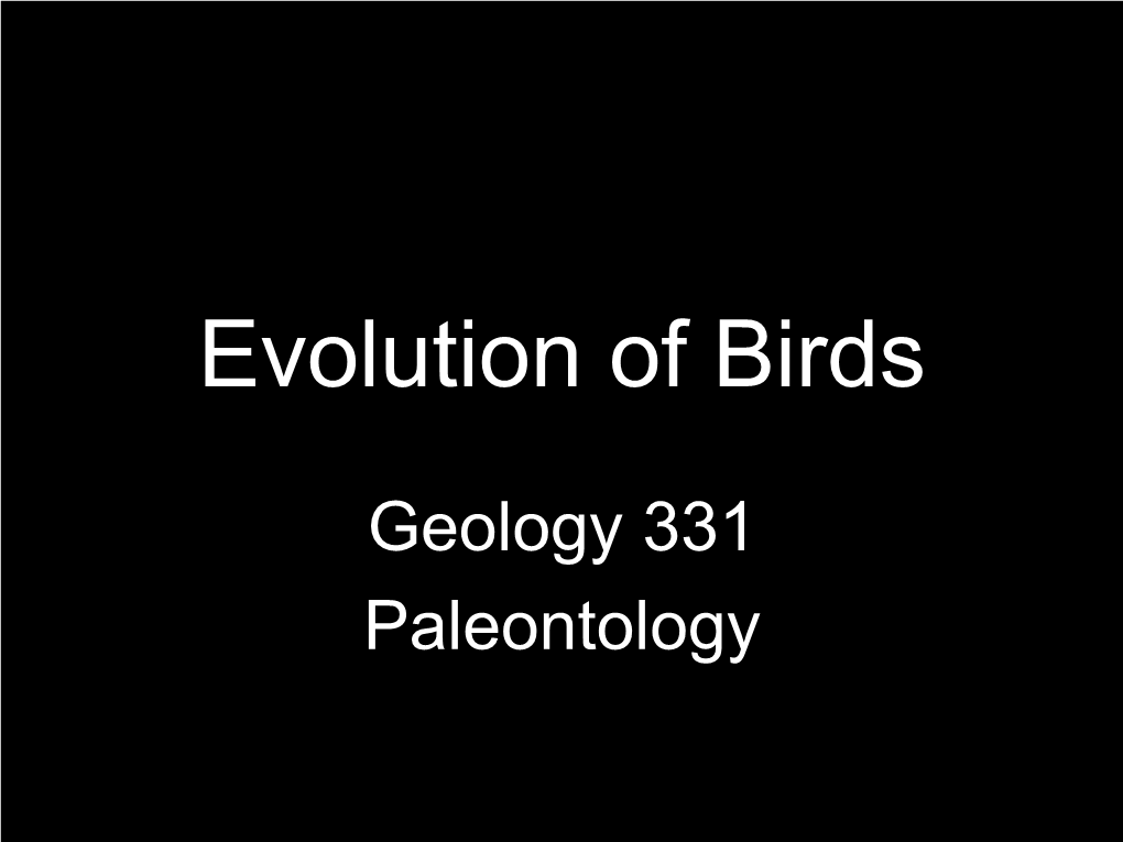 Evolution of Birds