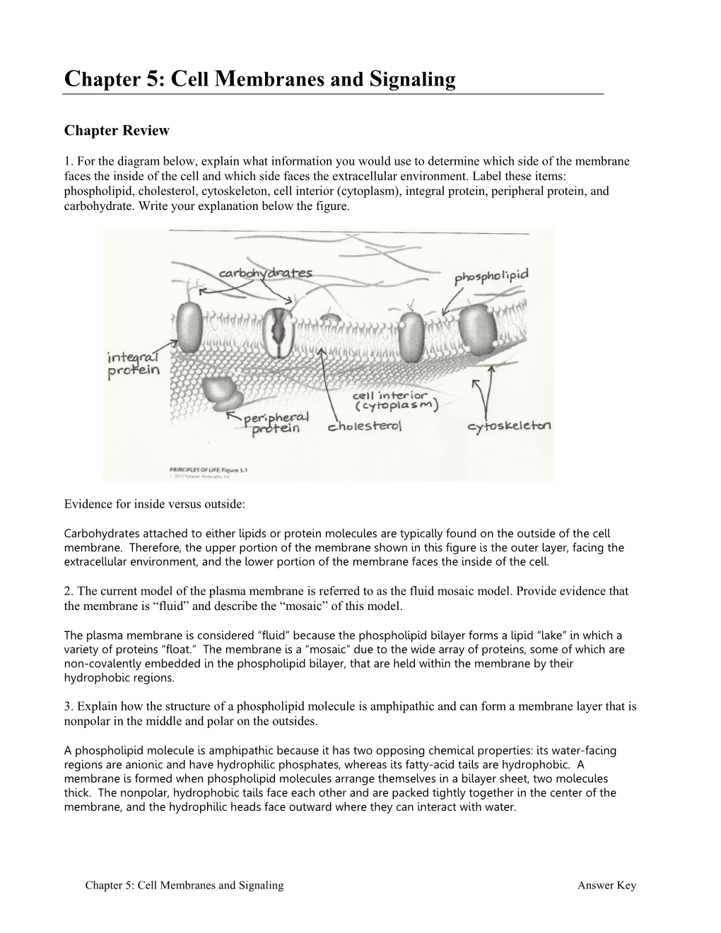 Chapter 5: Cell Membranes and Signaling