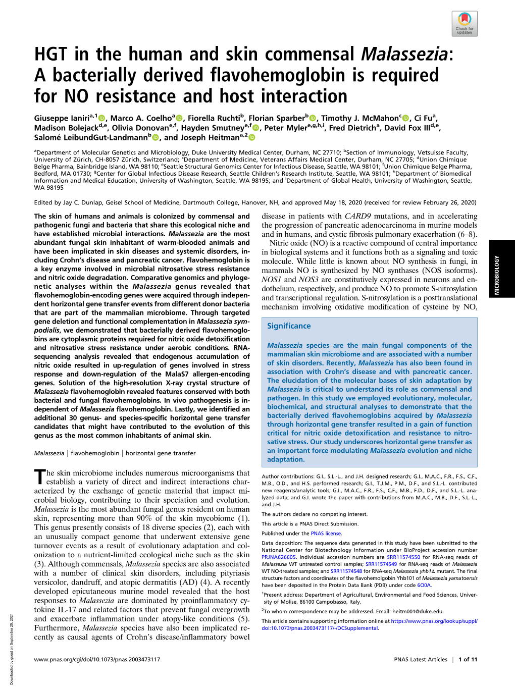 HGT in the Human and Skin Commensal Malassezia: a Bacterially Derived Flavohemoglobin Is Required for NO Resistance and Host Interaction