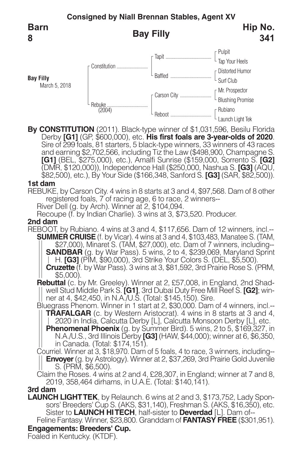 Bay Filly Barn 8 Hip No