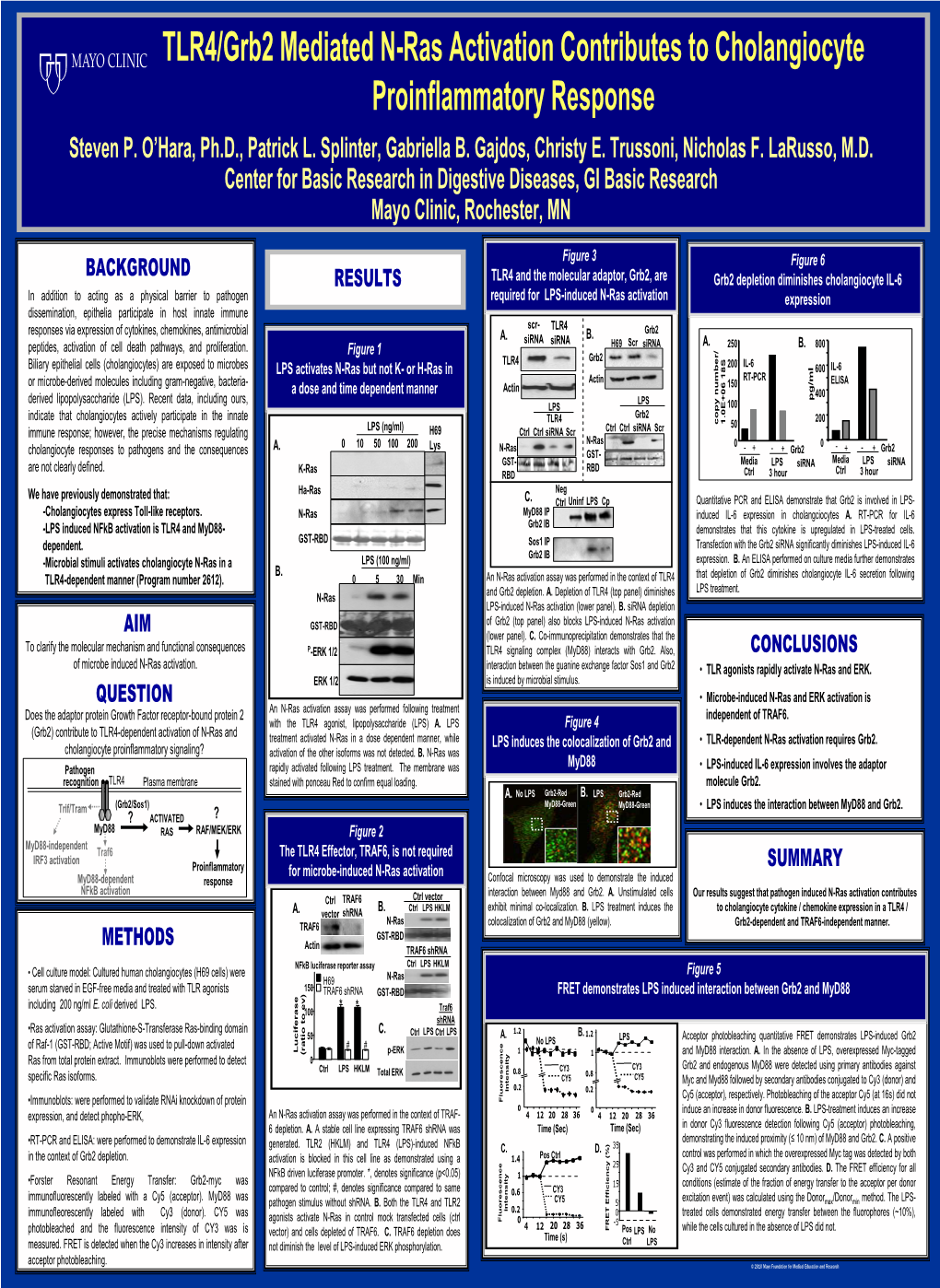 TLR4/Grb2 Mediated N-Ras Activation Contributes to Cholangiocyte Proinflammatory Response Steven P