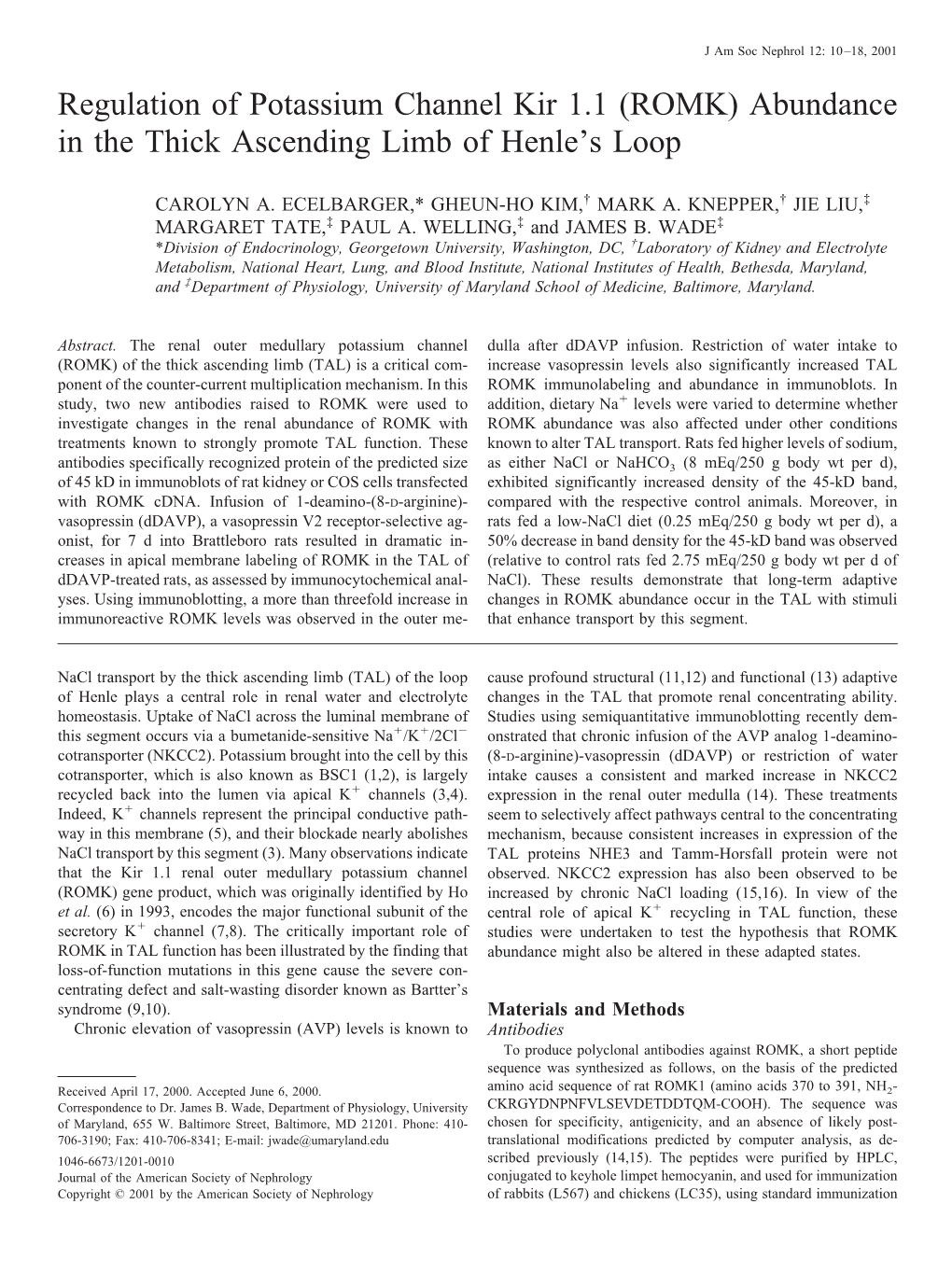 (ROMK) Abundance in the Thick Ascending Limb of Henle's Loop