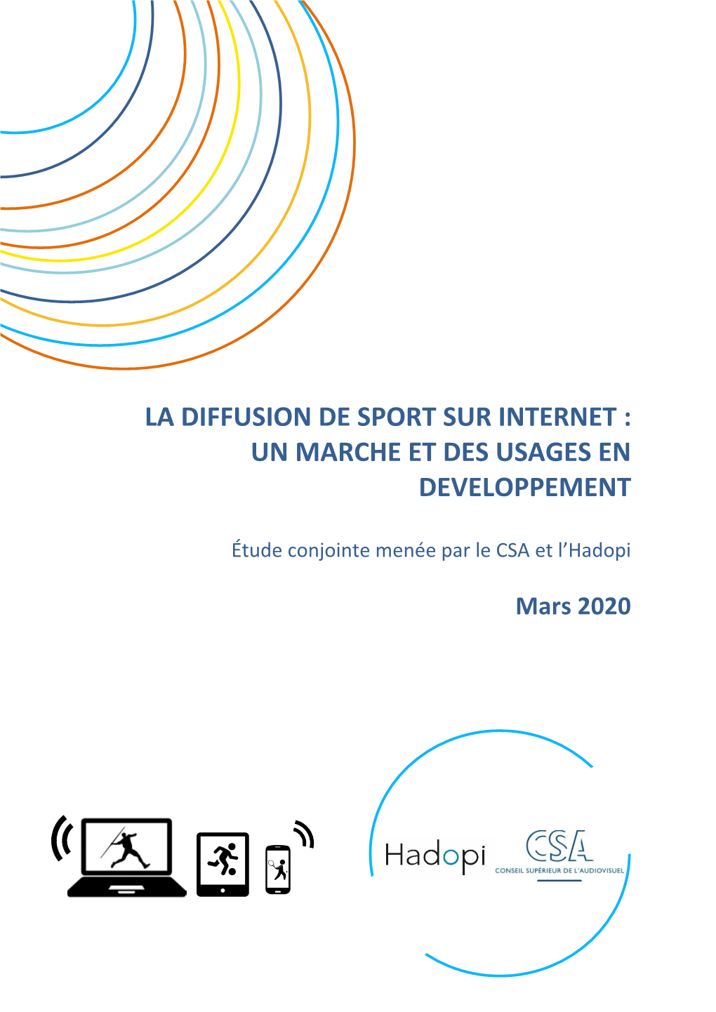 La Diffusion Du Sport Sur Internet : Un Marché Et Des Usages En