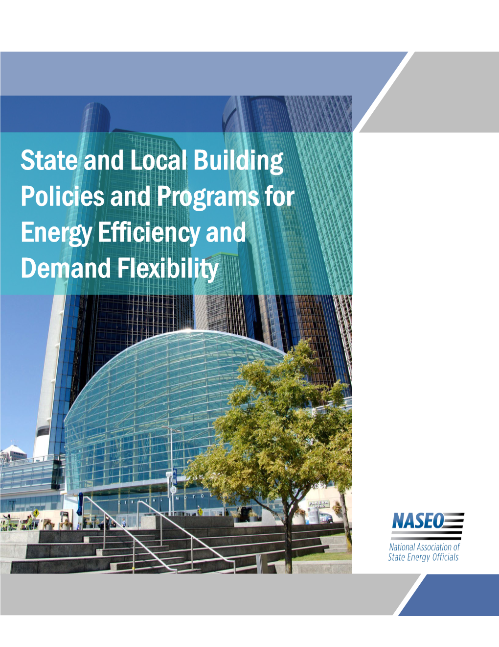 State and Local Building Policies and Programs for Energy Efficiency and Demand Flexibility