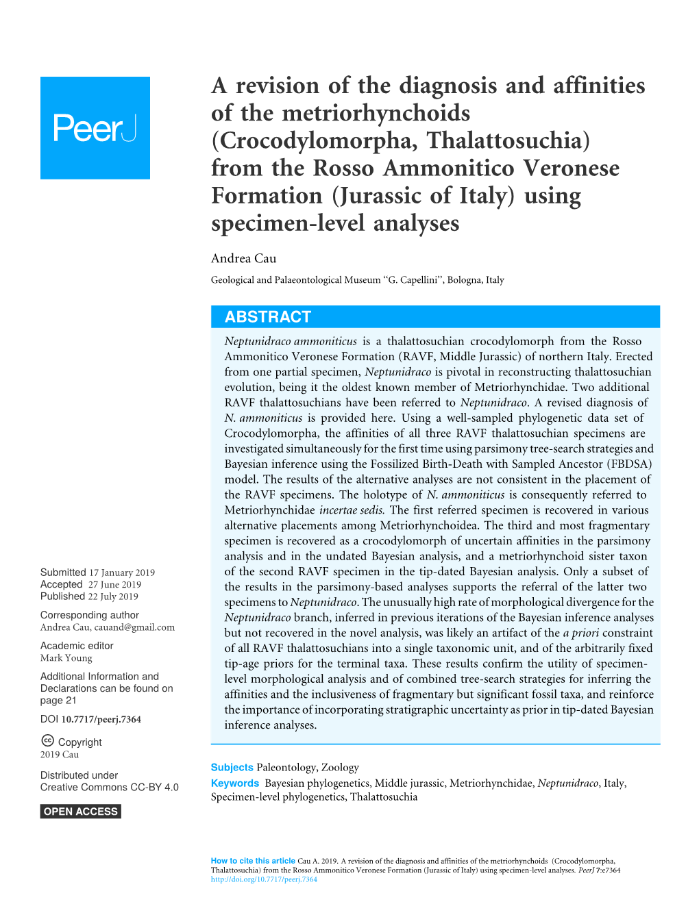 From the Rosso Ammonitico Veronese Formation (Jurassic of Italy) Using Specimen-Level Analyses