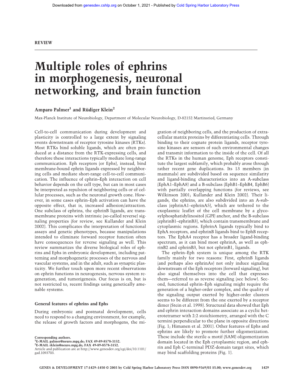 Multiple Roles of Ephrins in Morphogenesis, Neuronal Networking, and Brain Function