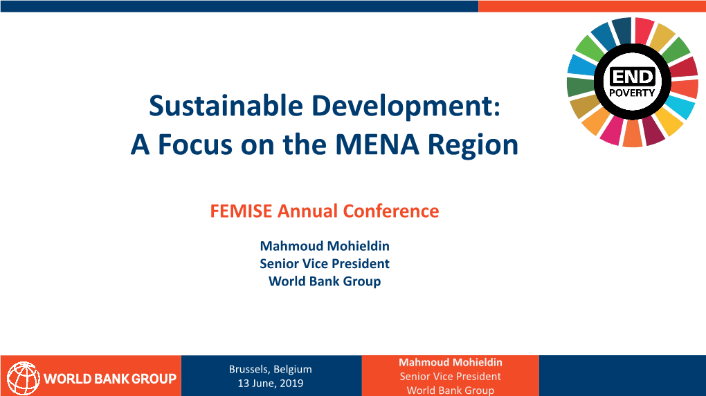 Sustainable Development: a Focus on the MENA Region