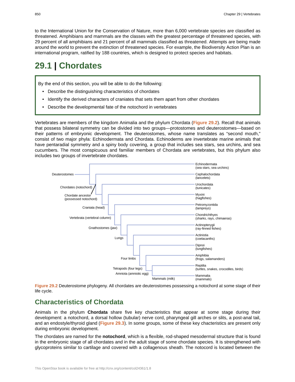 29.1 Chordates