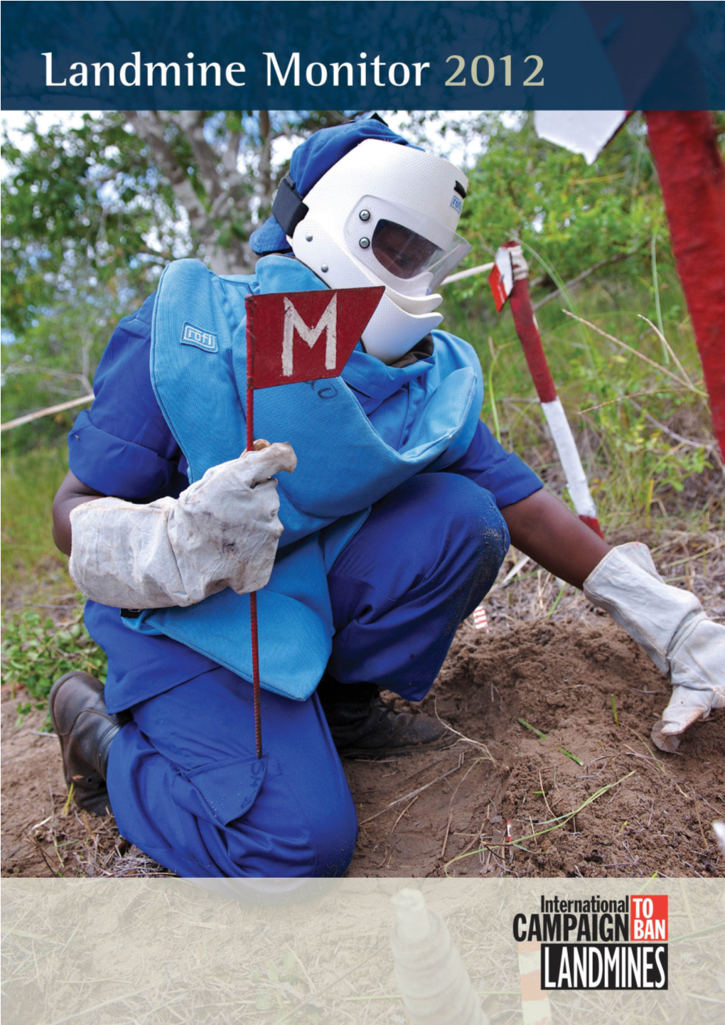 Mine Ban Treaty (Or “Ottawa Convention”) Offers the Best Framework for Putting the Mine Ban Into Practice, Clearing Mined Areas, and Assisting Affected Communities