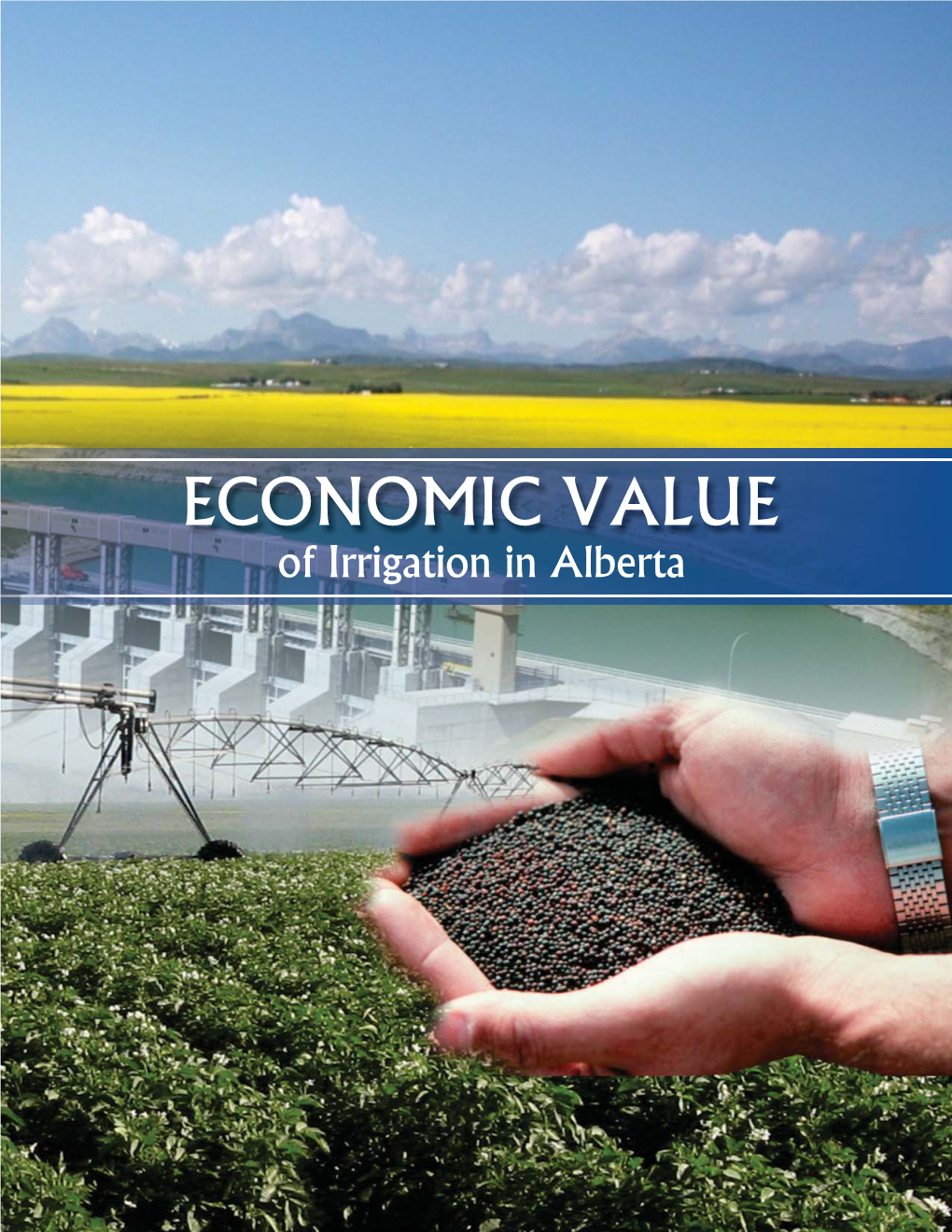 Economic Value of Irrigation in Alberta