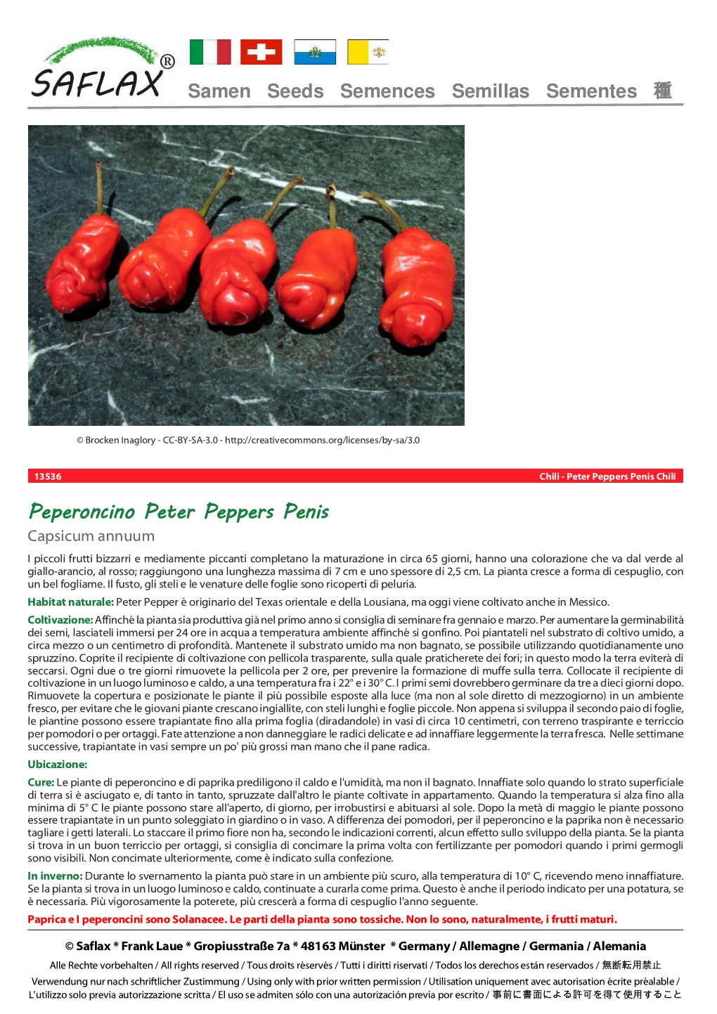 Peperoncino Peter Peppers Penis