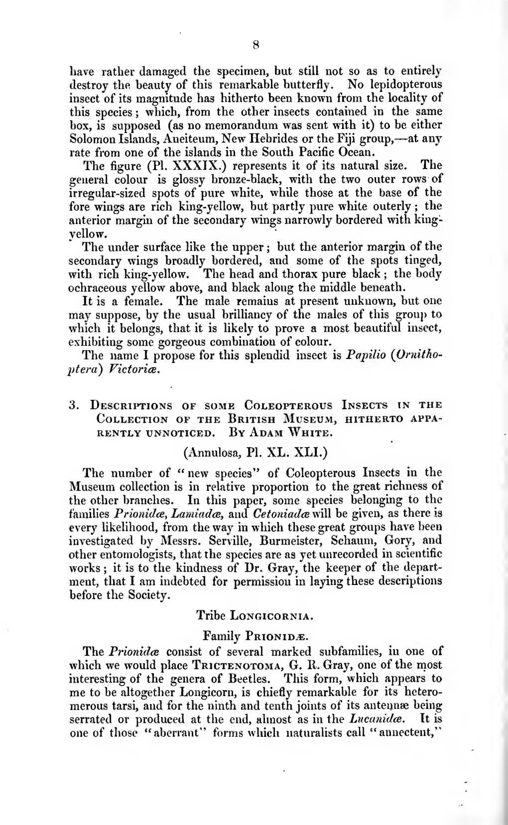 Descriptions of Some Coleopterous Insects in the Collection of the British Museum, Hitherto Apparently Unnoticed