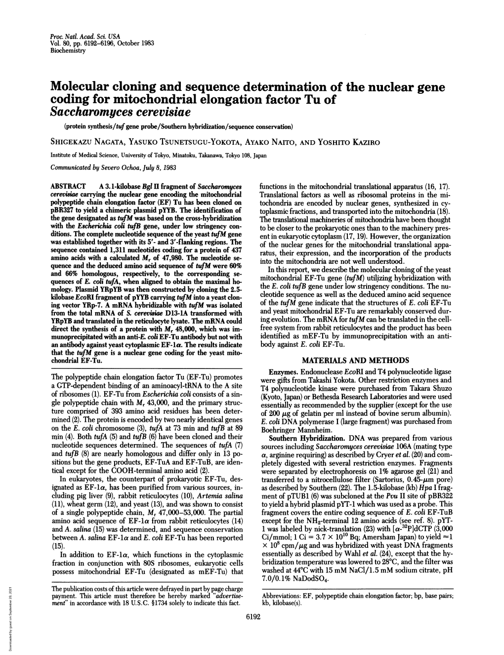 Saccharomyces Cerevisiae