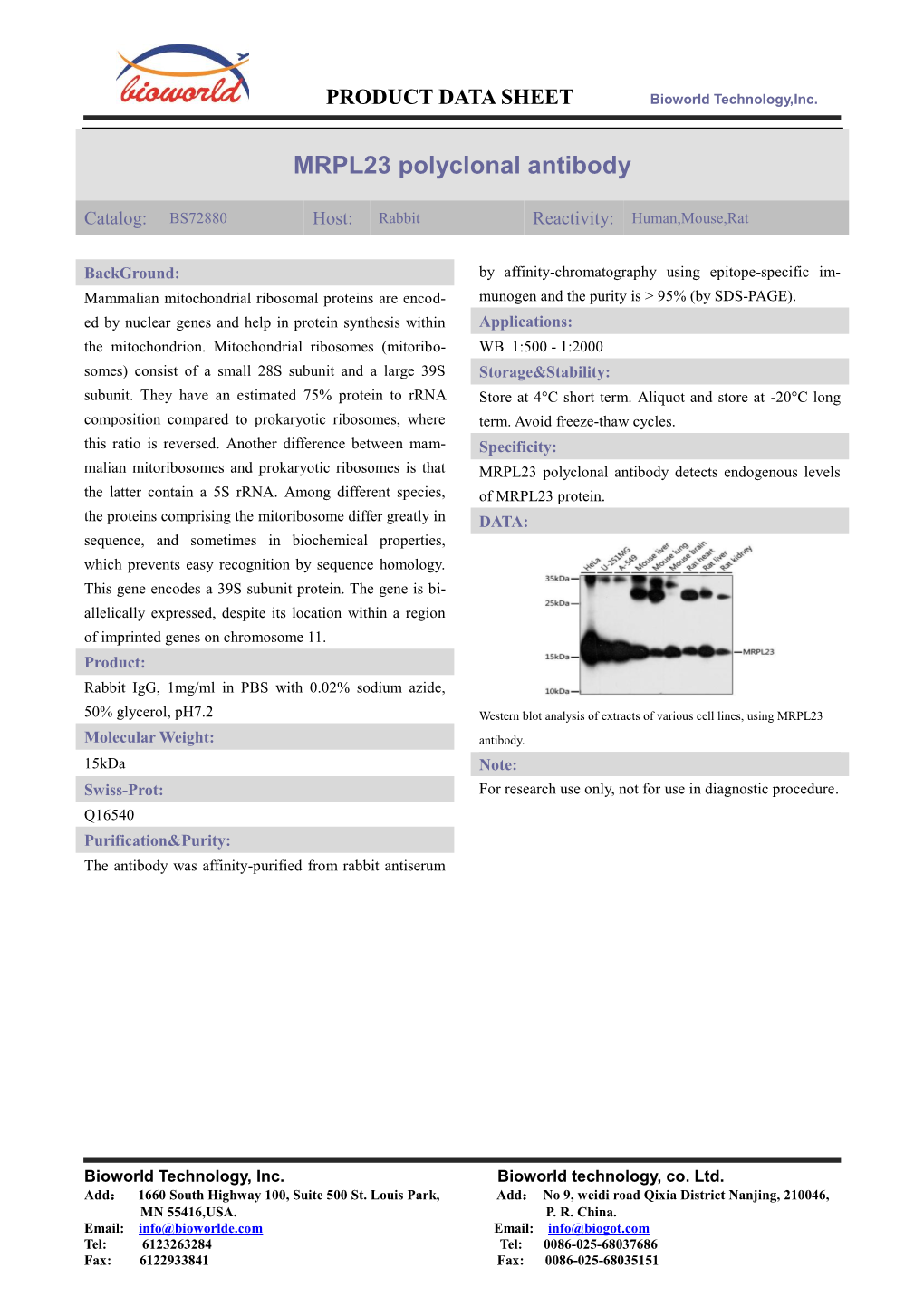 MRPL23 Polyclonal Antibody