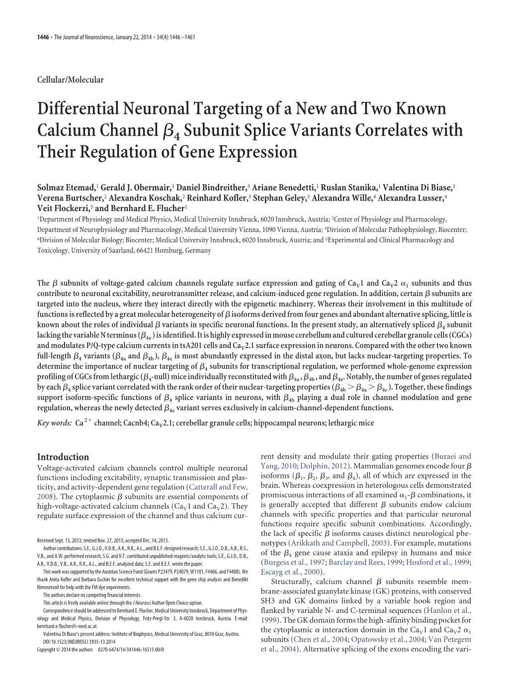 Differential Neuronal Targeting of a New and Two Known Calcium