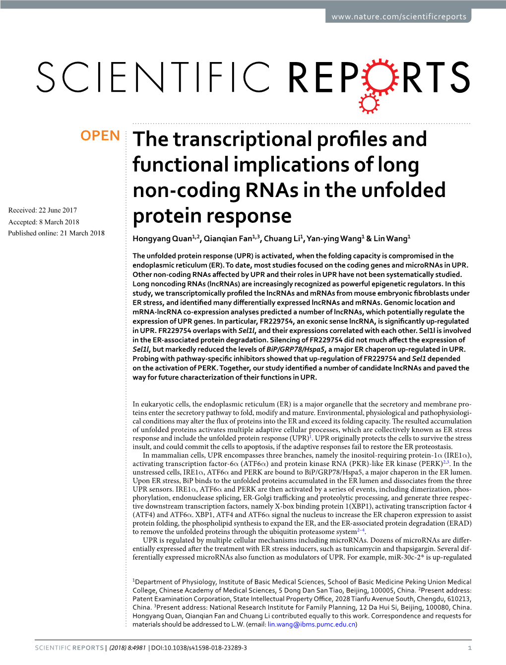 The Transcriptional Profiles and Functional Implications of Long Non