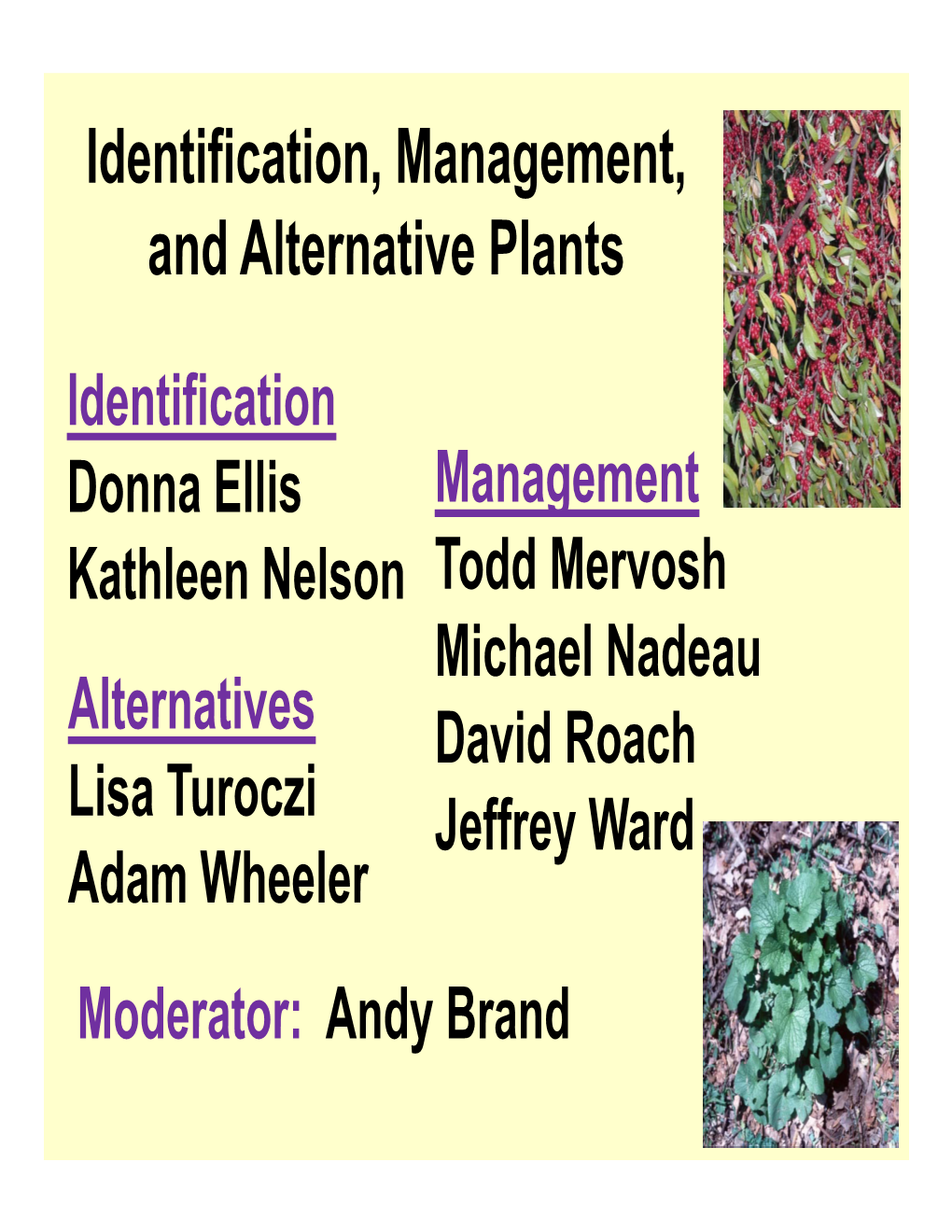 Identification, Management, and Alternative Plants