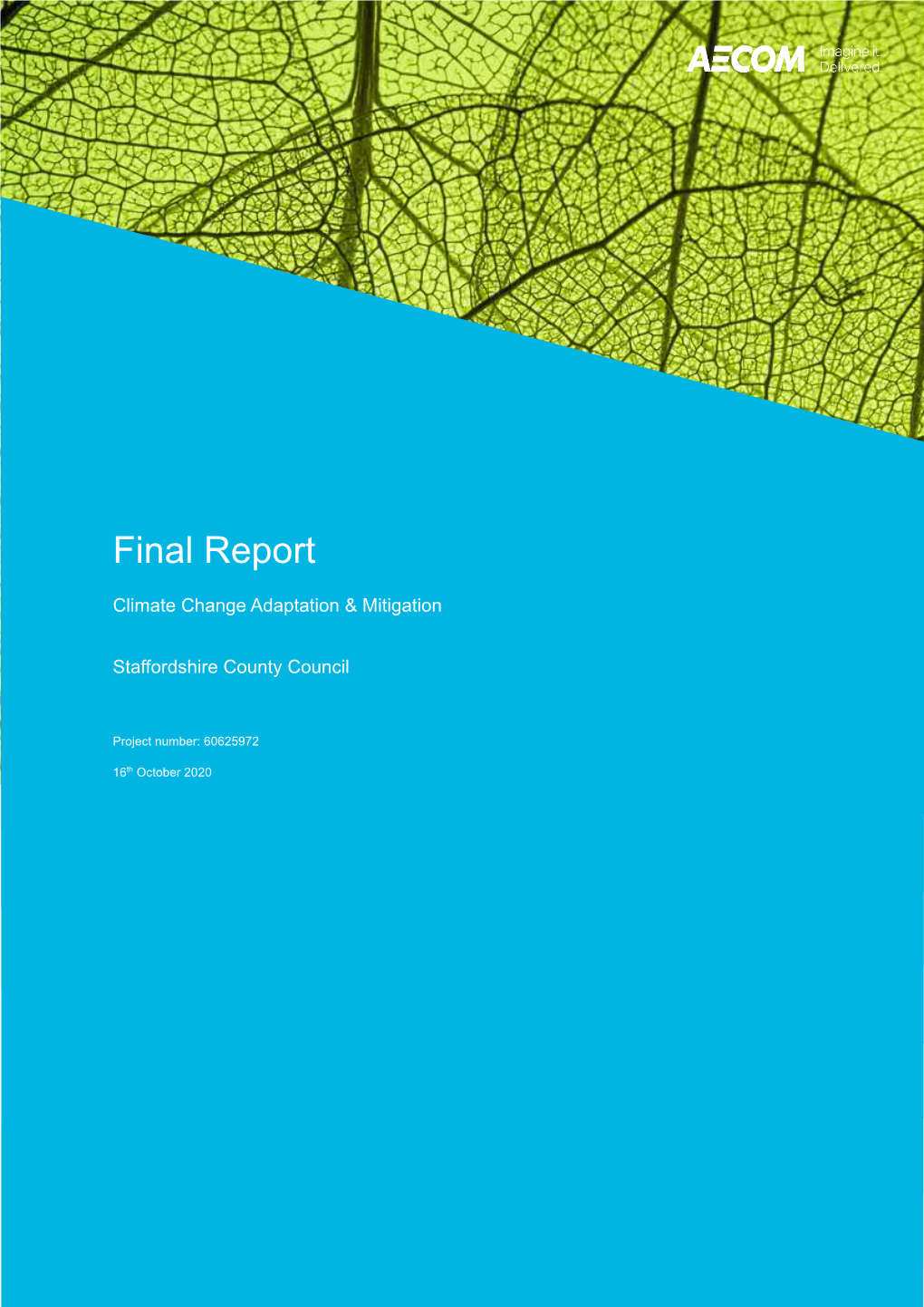 Climate Change Adaptation and Mitigation Final Report