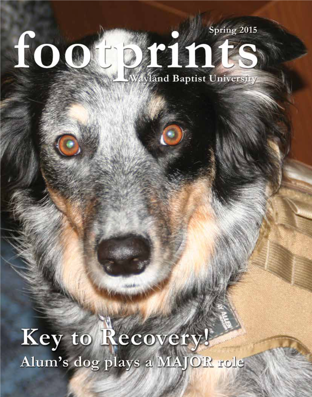 Footprintsapril2015.Pdf