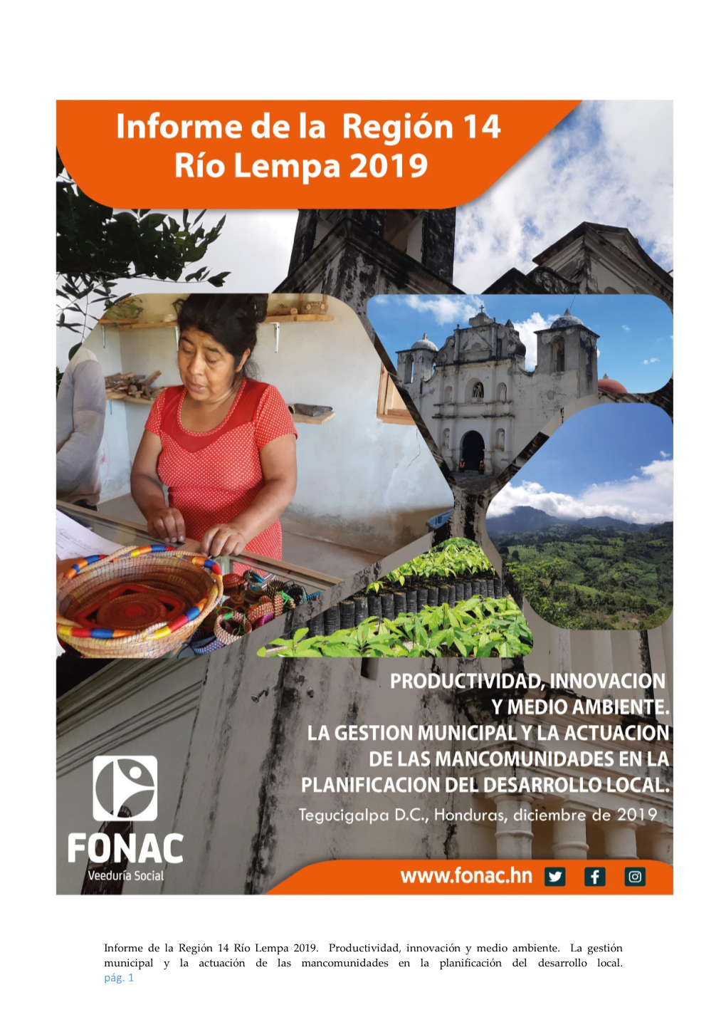 Informe Final Región 14 Lempa 2019