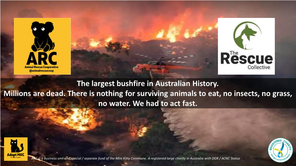 The Largest Bushfire in Australian History. Millions Are Dead. There Is Nothing for Surviving Animals to Eat, No Insects, No Grass, No Water