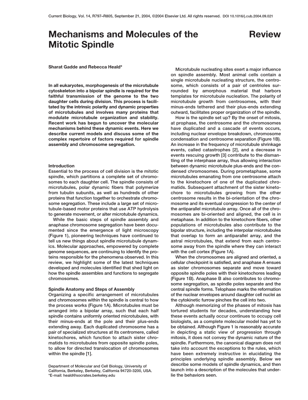 Review Mechanisms and Molecules of the Mitotic Spindle