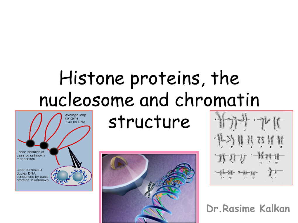 Histone Proteins, the Nucleosome and Chromatin Structure