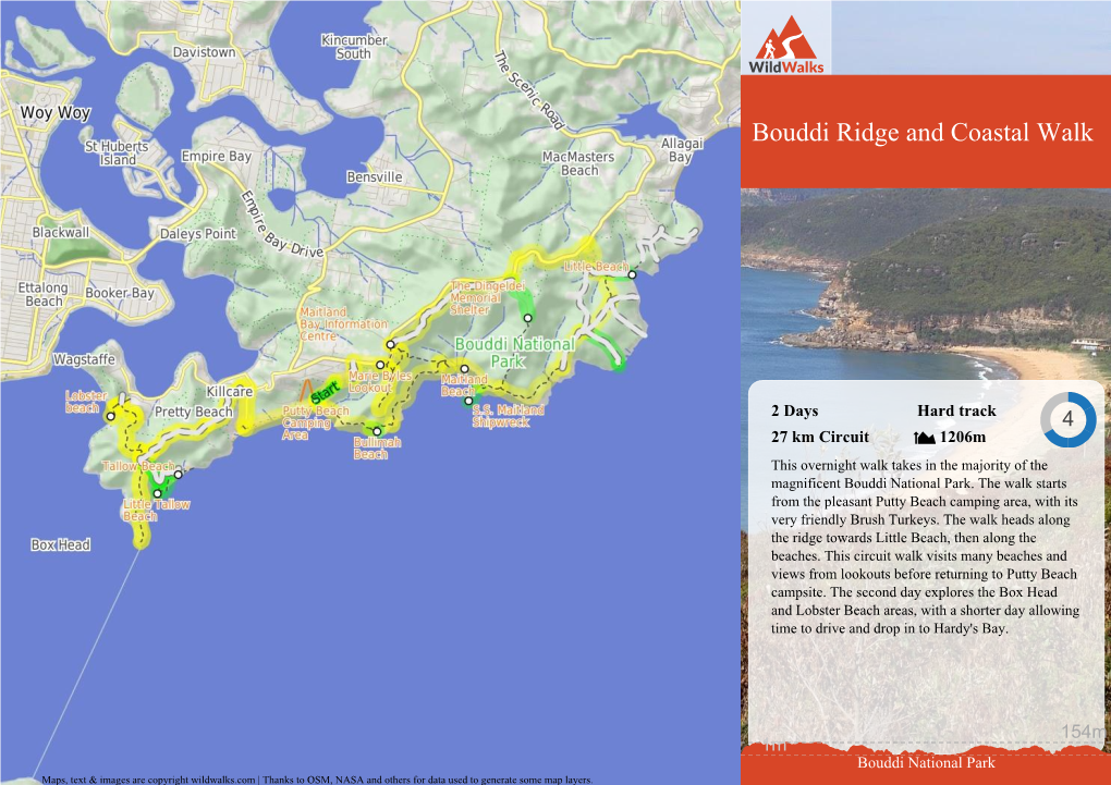 Bouddi Ridge and Coastal Walk