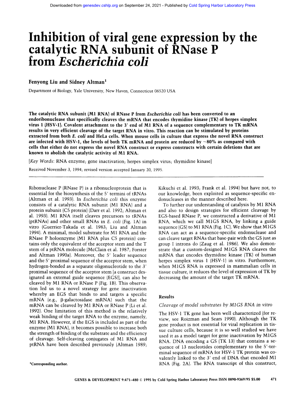 Inhibition of Viral Gene Expression by the Catalytic RNA Subunlt O[ Rnase P from Escherichia Coli