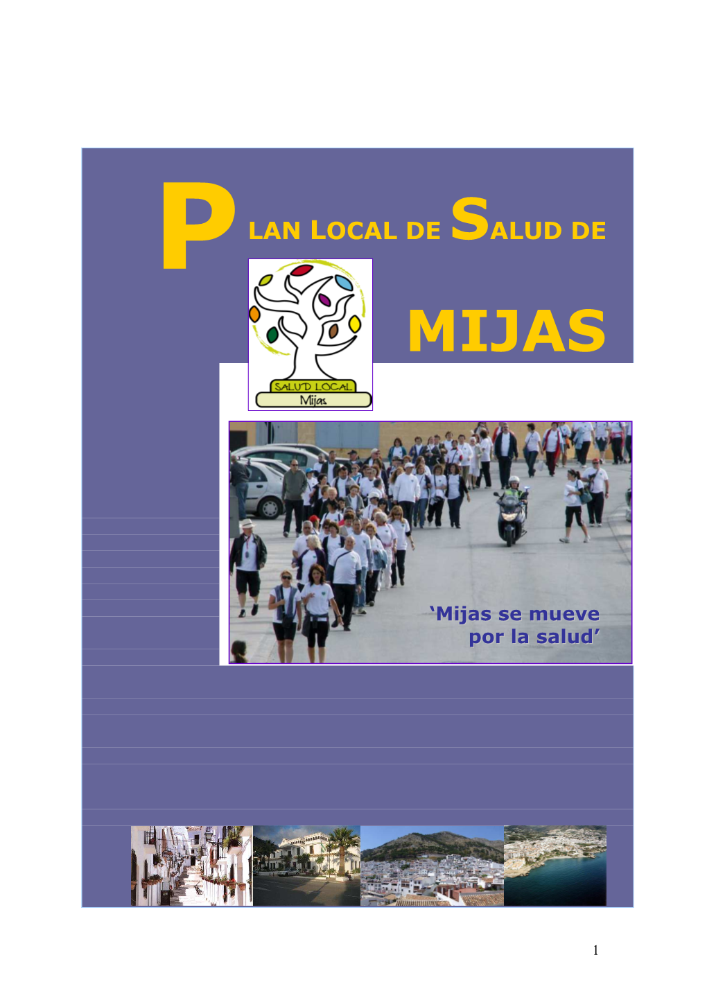 Plan Local De Salud De Mijas (Psm) 3.1