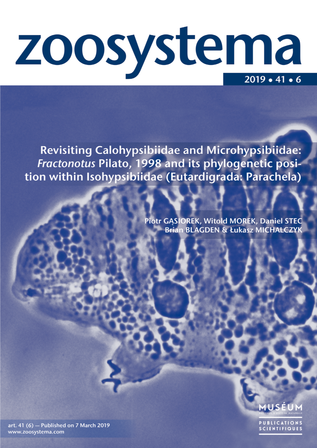 Revisiting Calohypsibiidae and Microhypsibiidae: Fractonotus Pilato, 1998 and Its Phylogenetic Position Within Isohypsibiidae (Eutardigrada: Parachela)