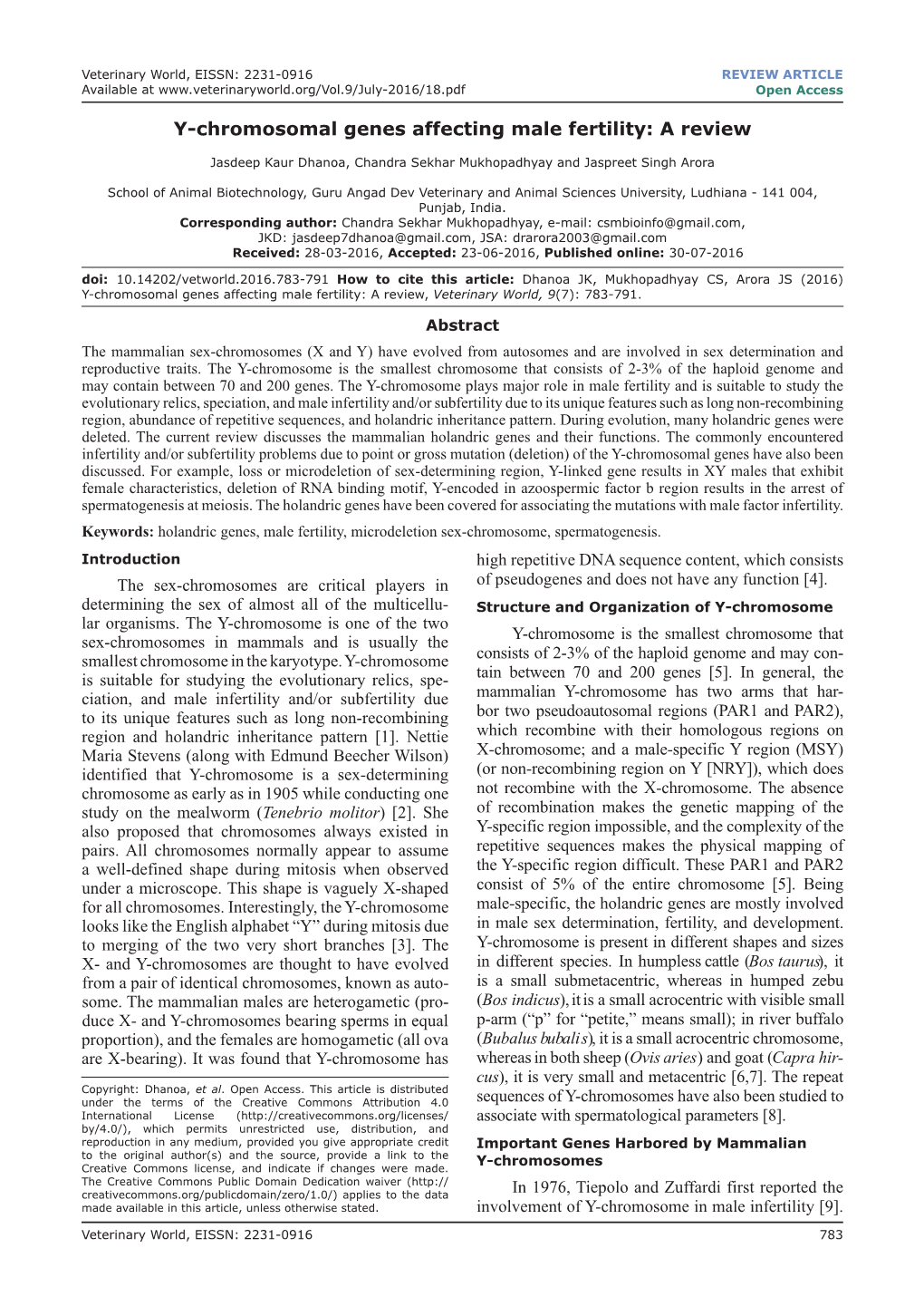 Y-Chromosomal Genes Affecting Male Fertility: a Review