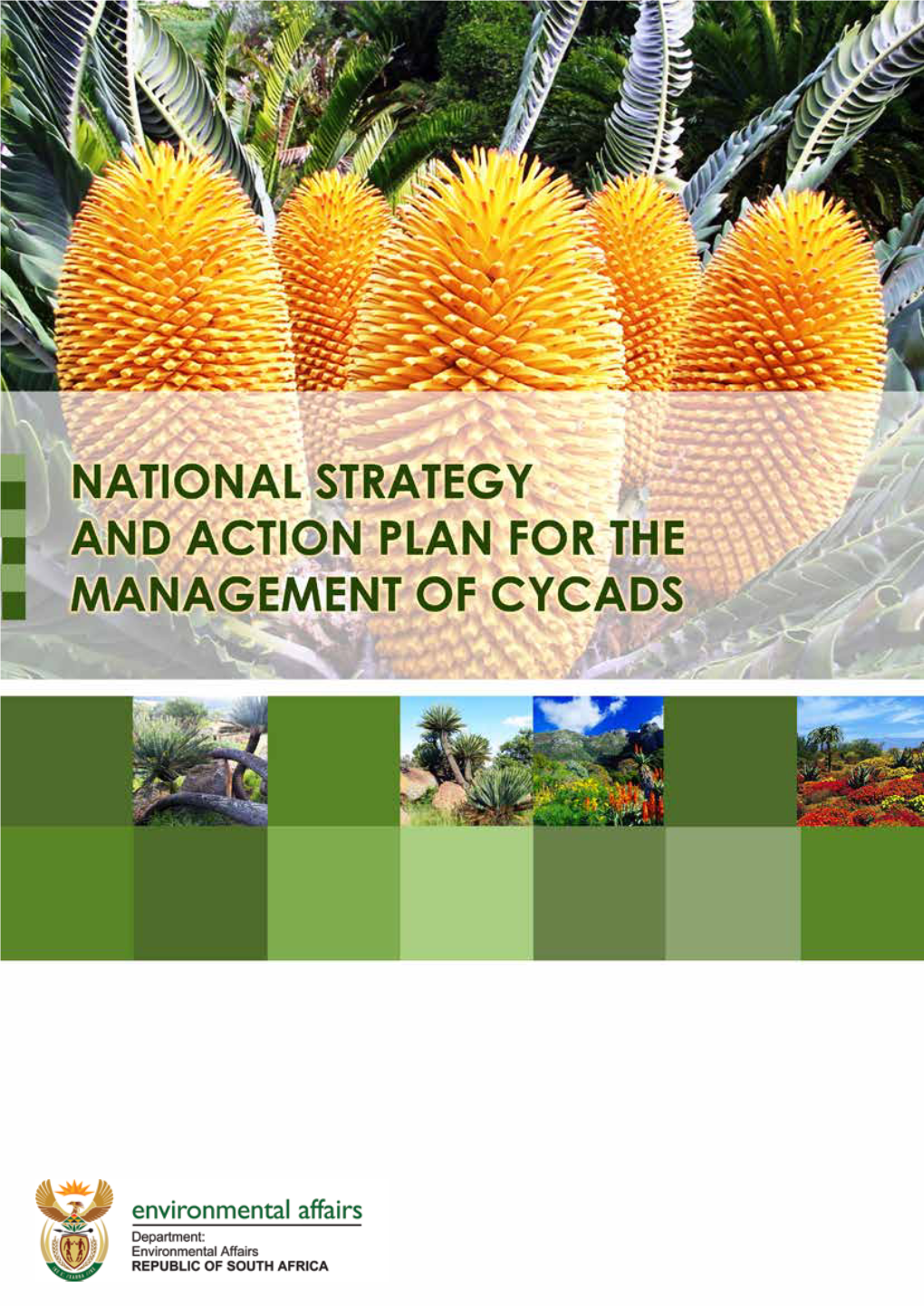 National Strategy and Action Plan for the Management of Cycads