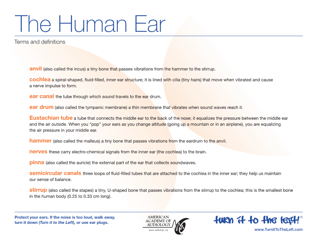 The Human Ear Terms and Deﬁnitions