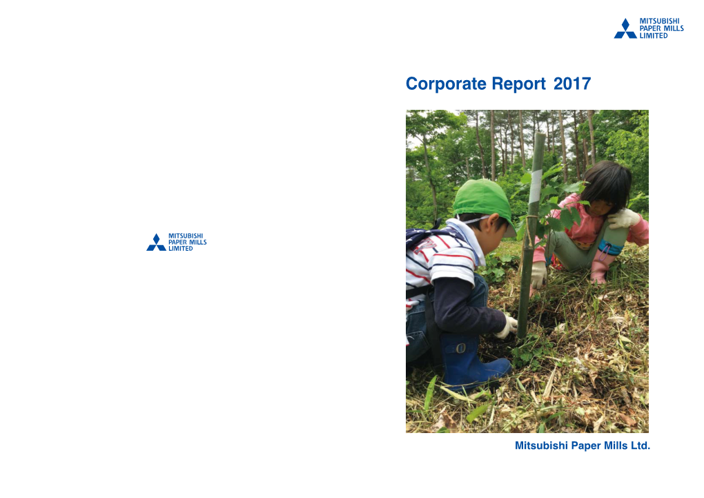 Corporate Report 2017