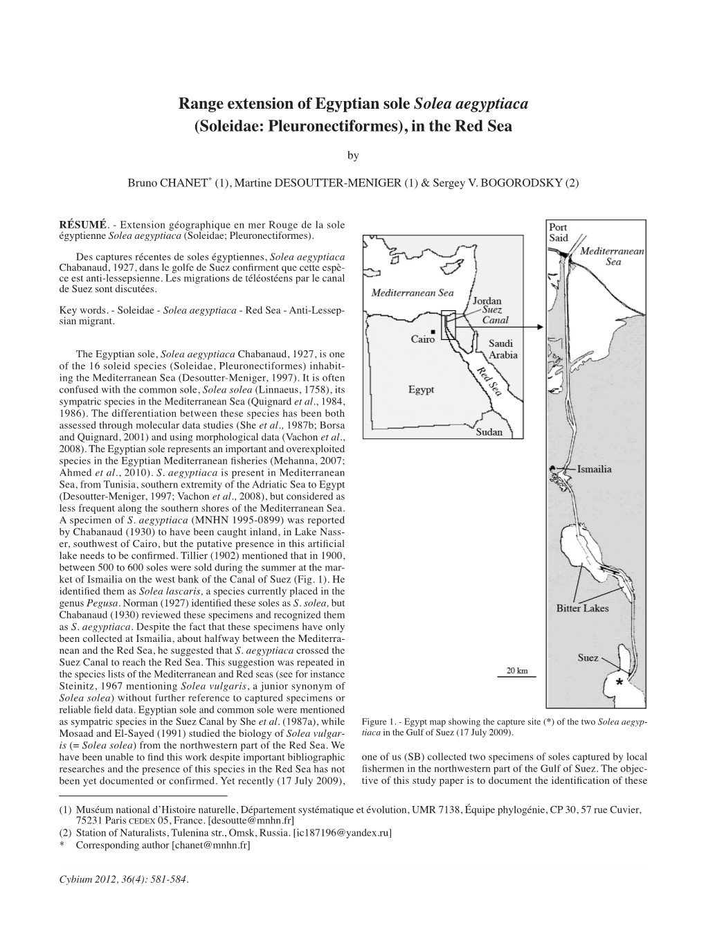 Range Extension of Egyptian Sole Solea Aegyptiaca (Soleidae: Pleuronectiformes), in the Red Sea