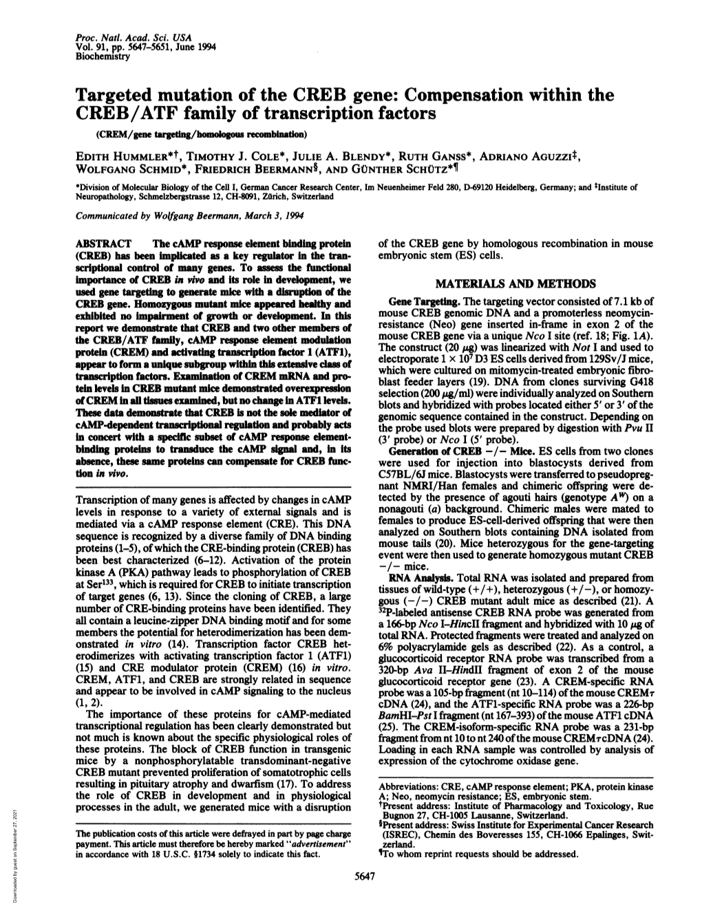 CREB/ATF Family of Transcription Factors (CREM/Gene Targetin/Homogous Recombination) EDITH HUMMLER*T, TIMOTHY J