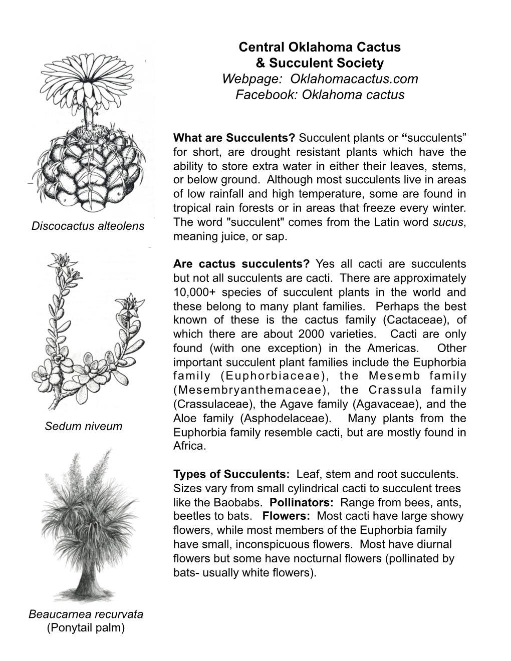 Succulent Plants Handout