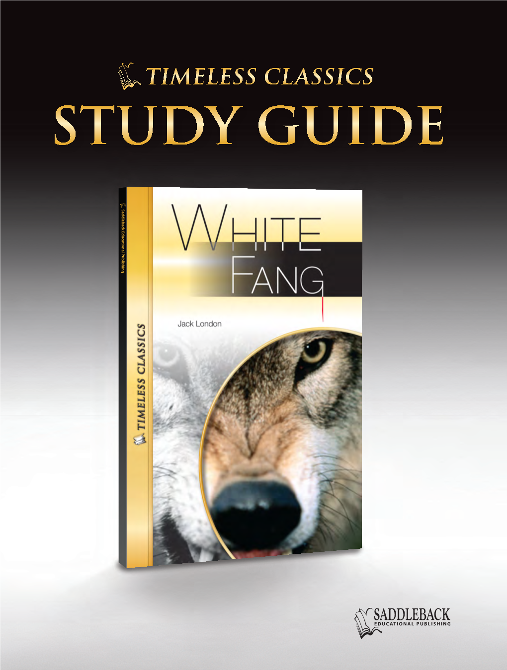 Study Guide Study Guide