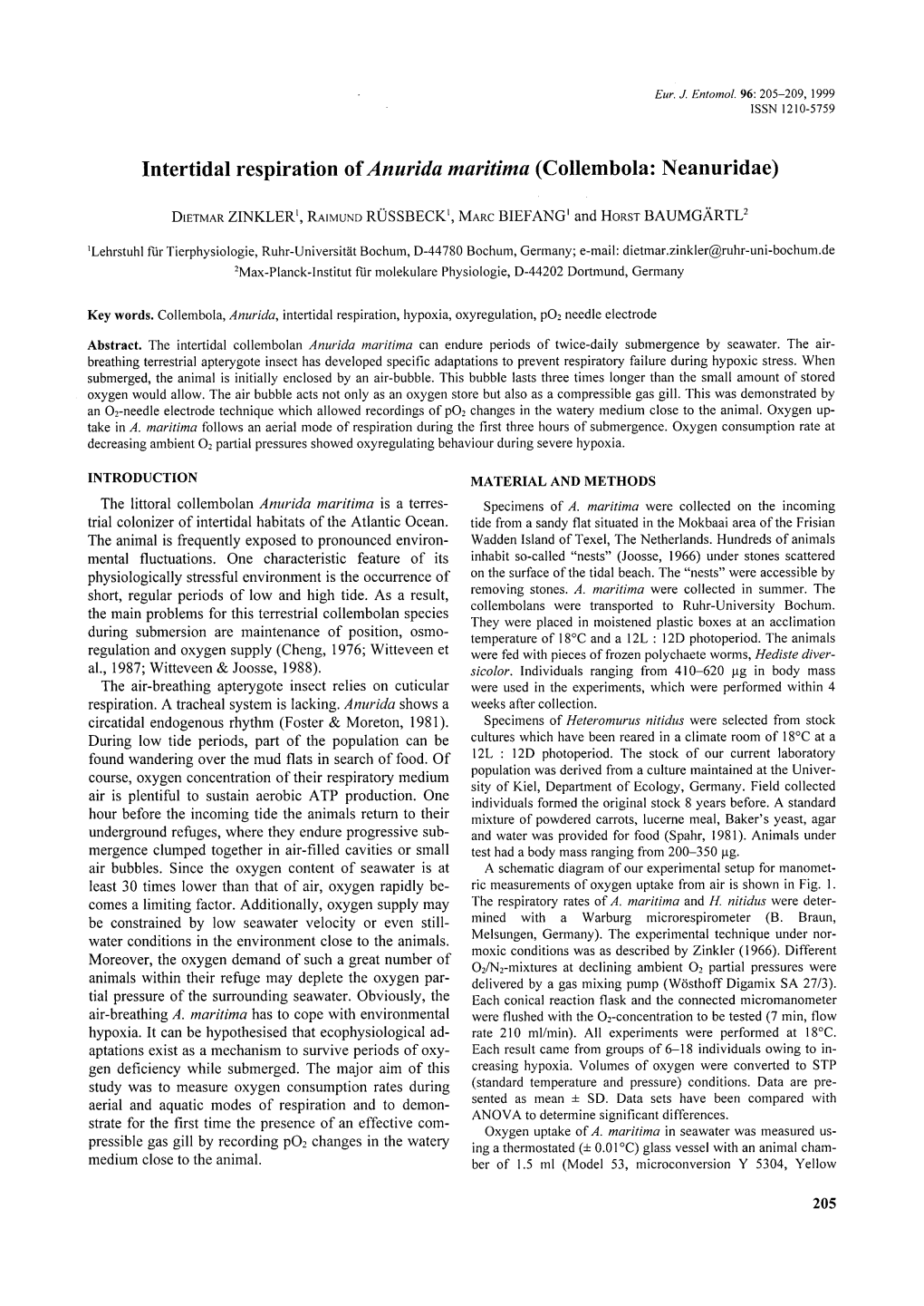 Intertidal Respiration of Anurida Maritima (Collembola: Neanuridae)