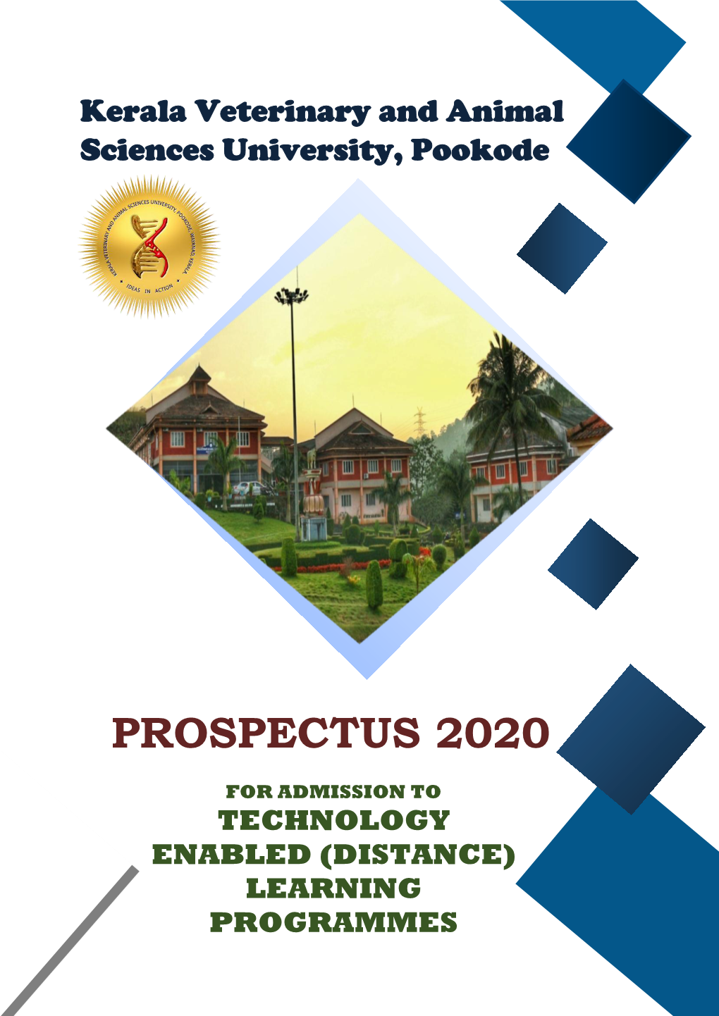 Prospectus 2020