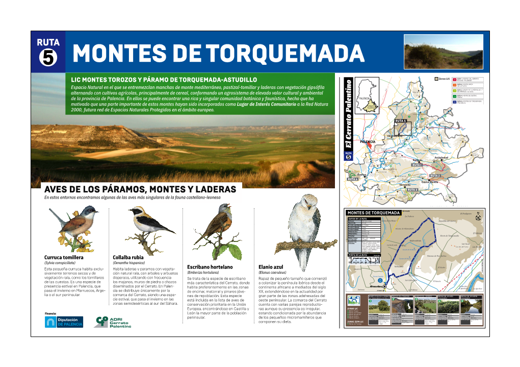 LIC MONTES TOROZOS Y PÁRAMO DE TORQUEMADA-ASTUDILLO Baltanás-Antigüedad RUTA 2