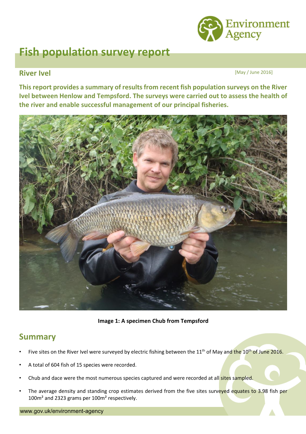 Fish Population Survey Report River Ivel