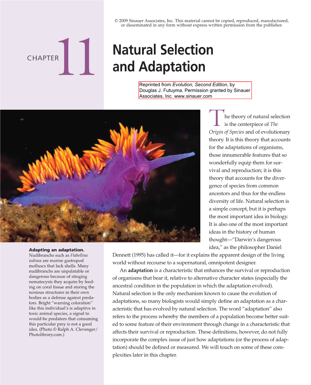 Natural Selection and Adaptation 281