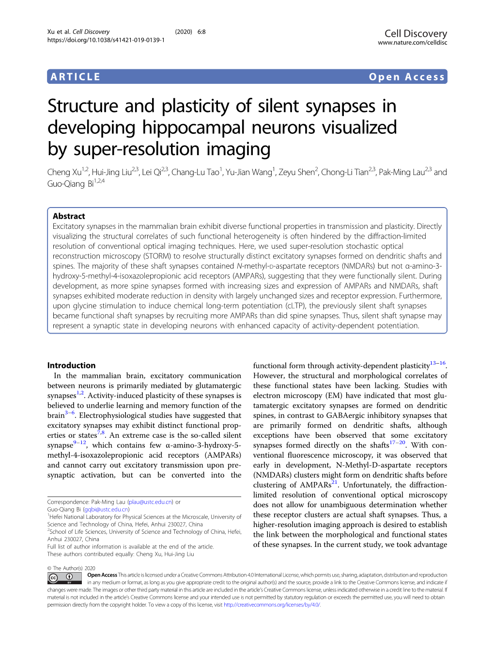 Structure and Plasticity of Silent Synapses in Developing